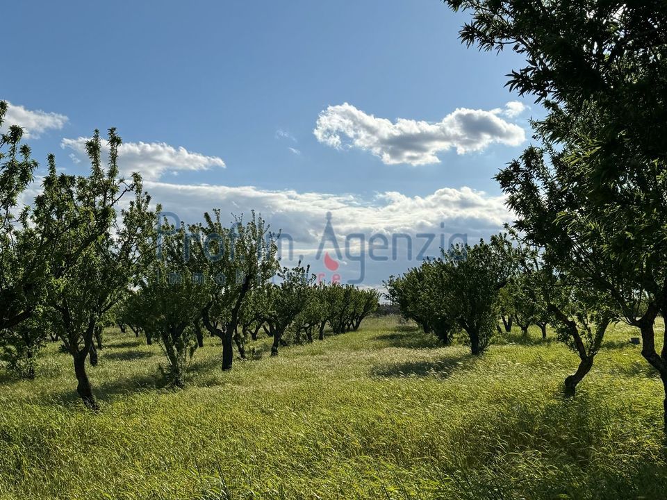 Terreno en Carovigno, Brindisi - foto 3